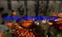 热带低压或将加强为台风 海南省气象部门发布提醒